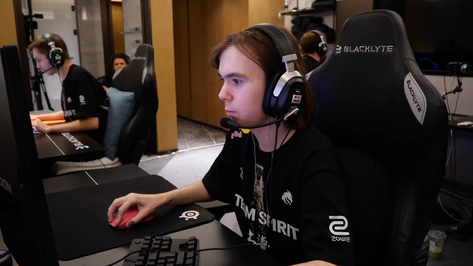 不仅展示了 不仅展示了