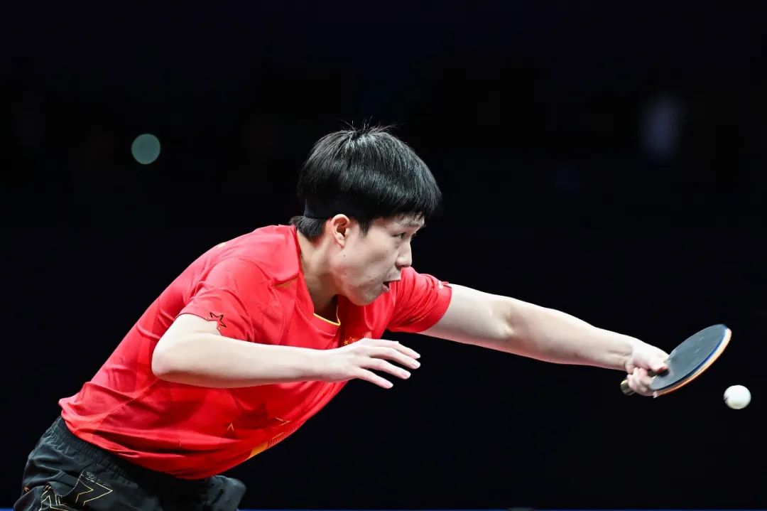 适合金特尔 适合金特尔