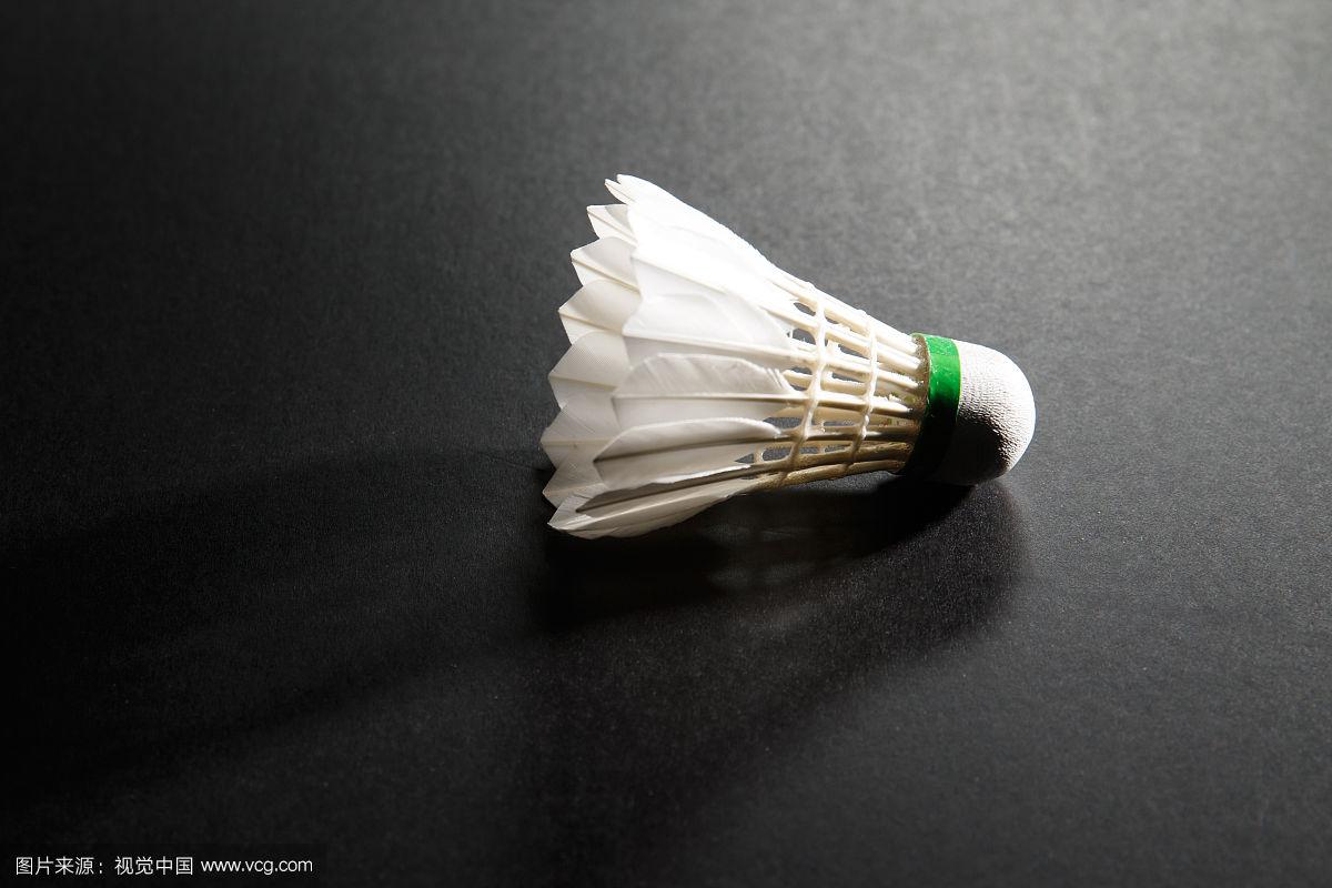 也是战术执 也是战术执