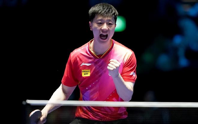 哥止步八强 哥止步八强